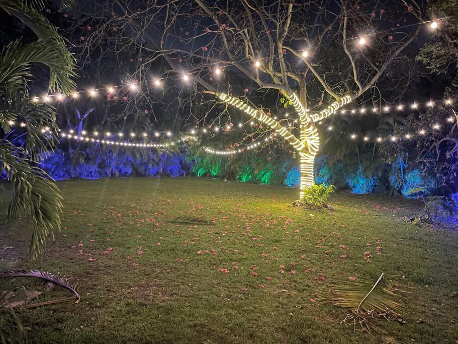 포트 로더데일 Rare Hidden Getaway Heated Pool 1.5 Acres! Sleeps 16 빌라 외부 사진